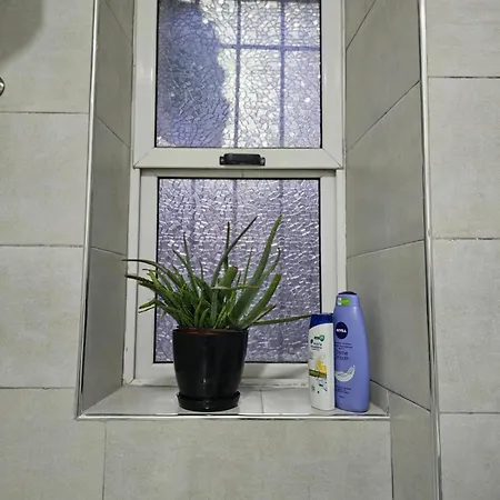 Main Apartment Pazari I Ri 1 *