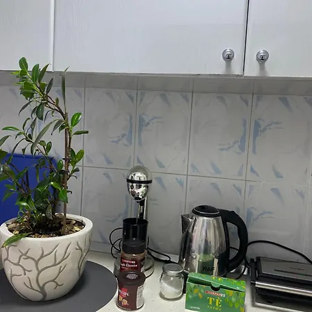Main Apartment Pazari I Ri 1 Daire Tiran